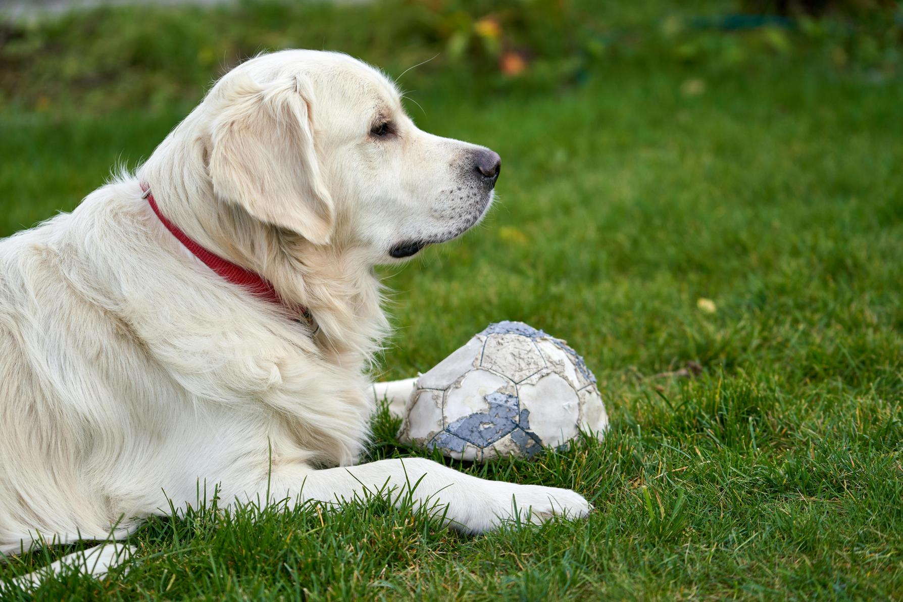 how to deflate a football